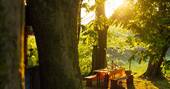 Outdoor seating