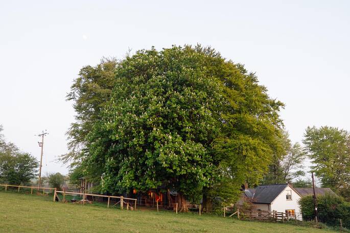 The Railway Sleeper at Irma's Cottage