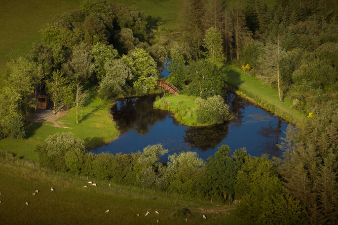 View from above showing the beautiful lake
