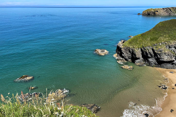 One Cat Farm - the local beach, Ceredigion, Wales