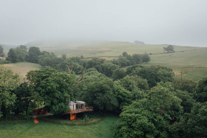 Drone view of treehouse