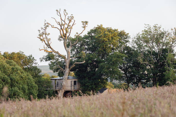 Treehouse through the fields