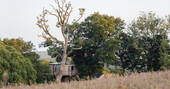 Treehouse through the fields