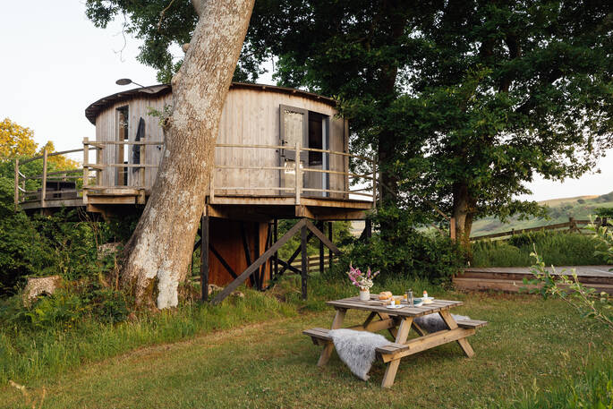 Treehouse with picnic bench
