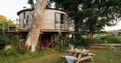 Treehouse with picnic bench