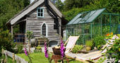 Ty Twt cabin garden with glass green house at Felin Isa, Denbigh, Conwy, Wales