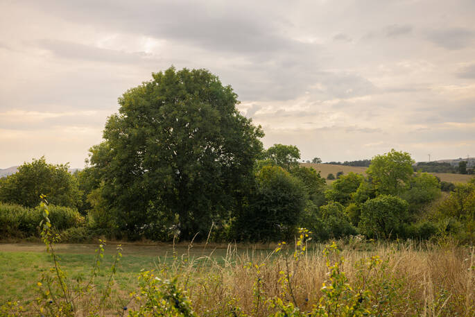 Surrounding area