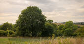 Surrounding area