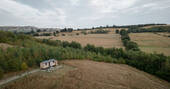 Fferna at The Forge