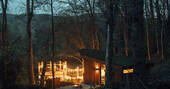 Evening lights at The Toads Hideout