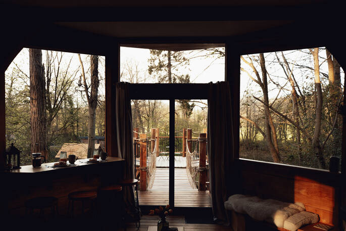 View from the inside of the treetops