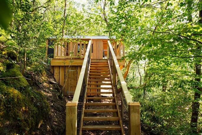 Steps up to treehouse