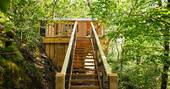 Steps up to treehouse