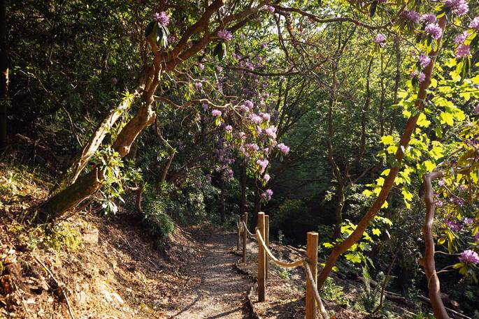 Surrounding paths