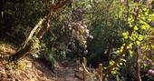 Surrounding paths
