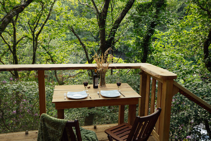 Treehouse view