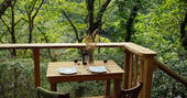 Treehouse view