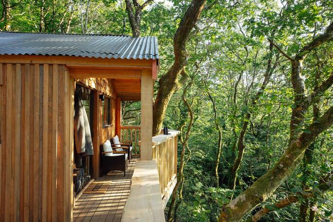 View from treehouse (2)