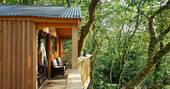 View from treehouse (2)