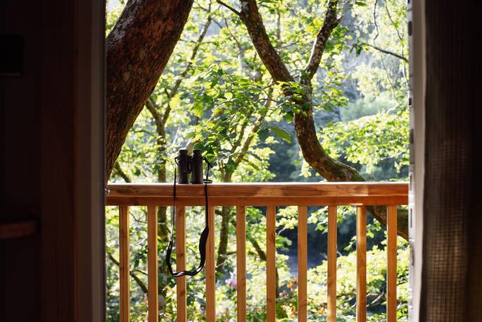 View from treehouse