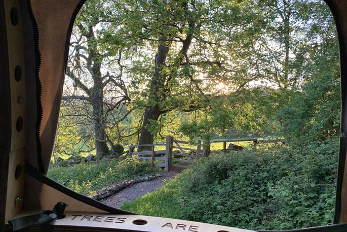 Oak Apple Tree Tent pod view from the window, Lower Gockett Farm, Lydart, Monmouth, Monmouthshire, Wales