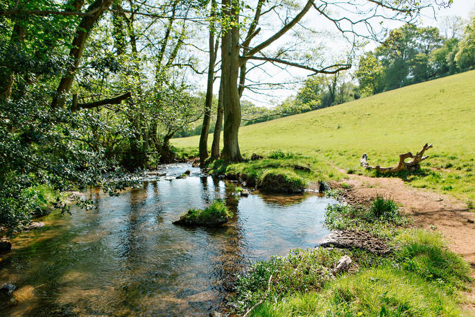 Beautiful stream at Penhein Glamping in Monmouthshire