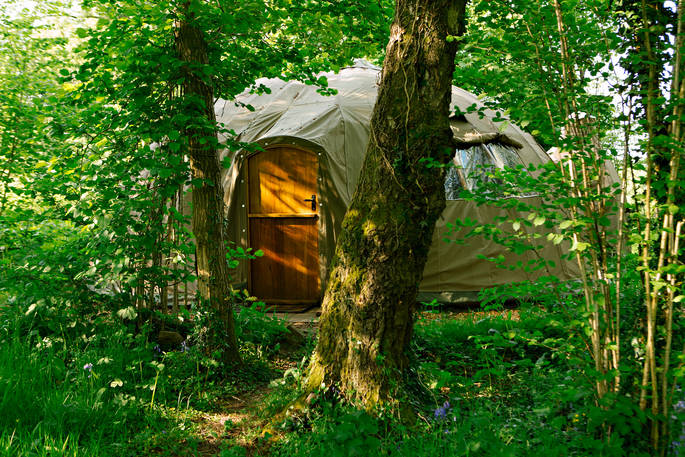 Catta Dee tent surrounded by green forest at Penhein Glamping in Monmouthshire