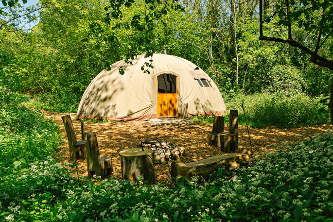 The Coombe tent at Penhein Glamping, surrounded by lush green forest