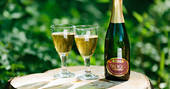 Enjoy a glass of bubbly al fresco at Penhein Glamping in Monmouthshire