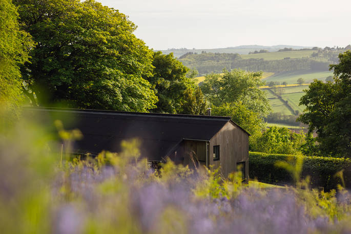 The Chickenshed cabin and wildflowers at Trellech, Monmouthshire, Wales