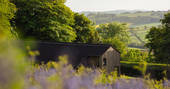 The Chickenshed cabin and wildflowers at Trellech, Monmouthshire, Wales