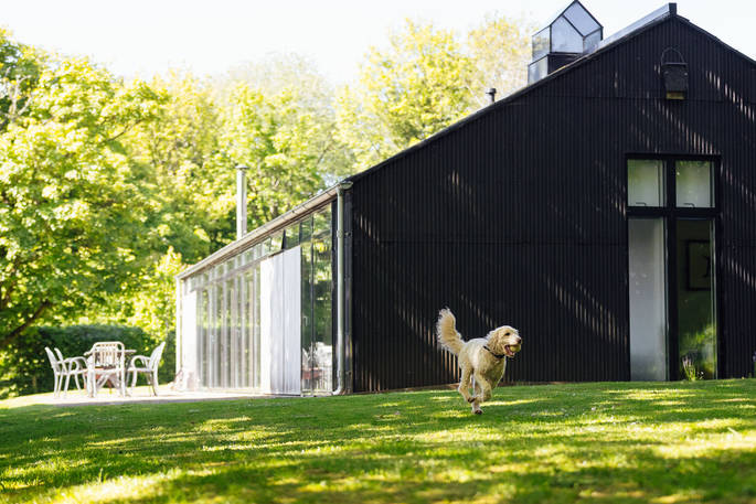 The Chickenshed cabin dog at Trellech, Monmouthshire, Wales
