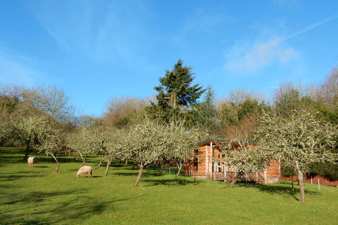 Lichen Cabin and the sheep, The Dovecote, Chepstow, Monmouthshire, Wales