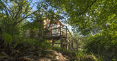 mistletoe treehouse exterior