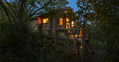 mistletoe treehouse exterior night