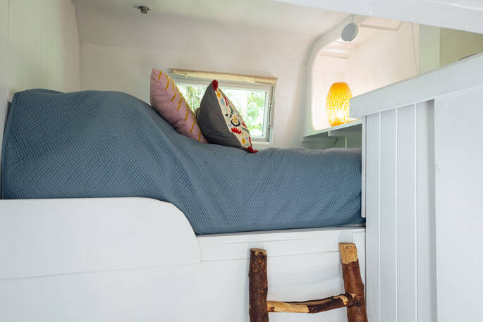 Bed and ladder