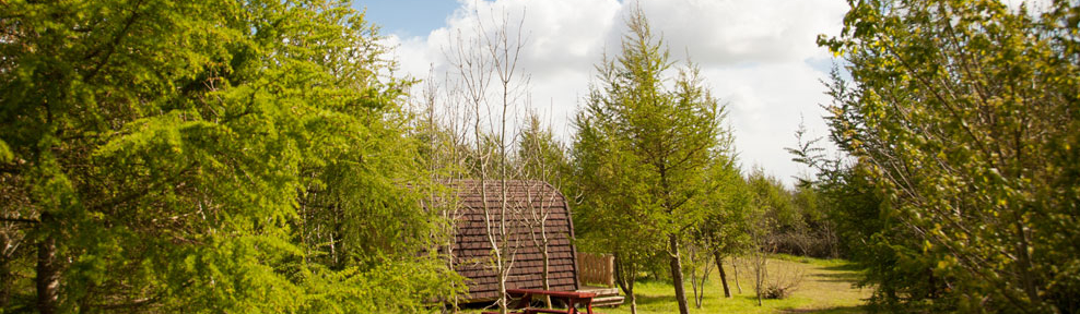 Cwtch Camping, Pembrokeshire