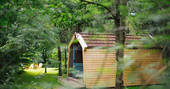 Cwtch Woodland Camp cabins, Rosemarket, Pembrokeshire - Owen Howells Photography