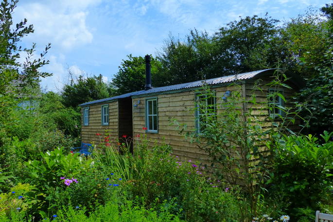 Damselfly and garden at Damselfly shepherd's hut, Marle Cottage, Boncath, Pembrokeshire, Wales