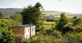 Damselfly shepherd's hut, Marle Cottage, Boncath, Pembrokeshire, Wales