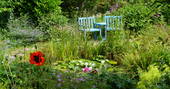 Lilly Pond at Damselfly shepherd's hut, Marle Cottage, Boncath, Pembrokeshire, Wales