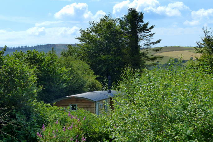 view of preseli at Damselfly shepherd's hut, Marle Cottage, Boncath, Pembrokeshire, Wales
