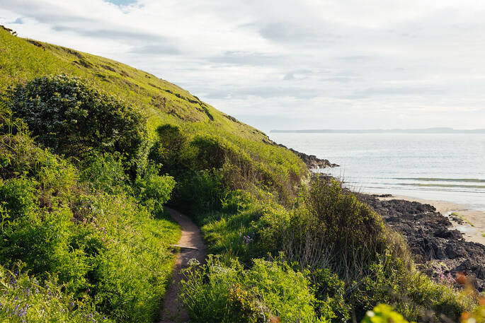 The shed is close to the wales coastal path