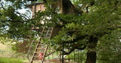 Climb up the steps to your own secluded treehouse at Beudy Banc in Powys