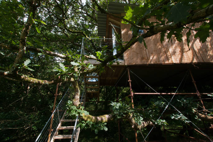 Climb up the steps to your own secluded treehouse at Beudy Banc in Powys