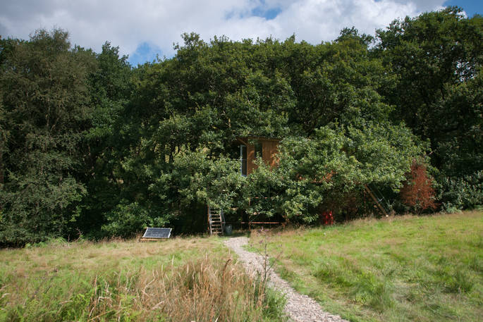 Exterior of Beudy Banc treehouse hidden in the trees in Powys 
