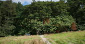 Exterior of Beudy Banc treehouse hidden in the trees in Powys 