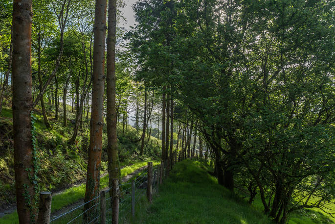 Go for a relaxing walk at Beudy Banc in Wales
