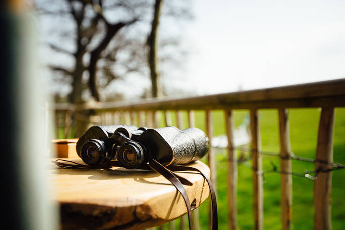 Binoculars to watch the local wildlife at Jericho Yurt, Powys in Wales