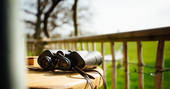 Binoculars to watch the local wildlife at Jericho Yurt, Powys in Wales